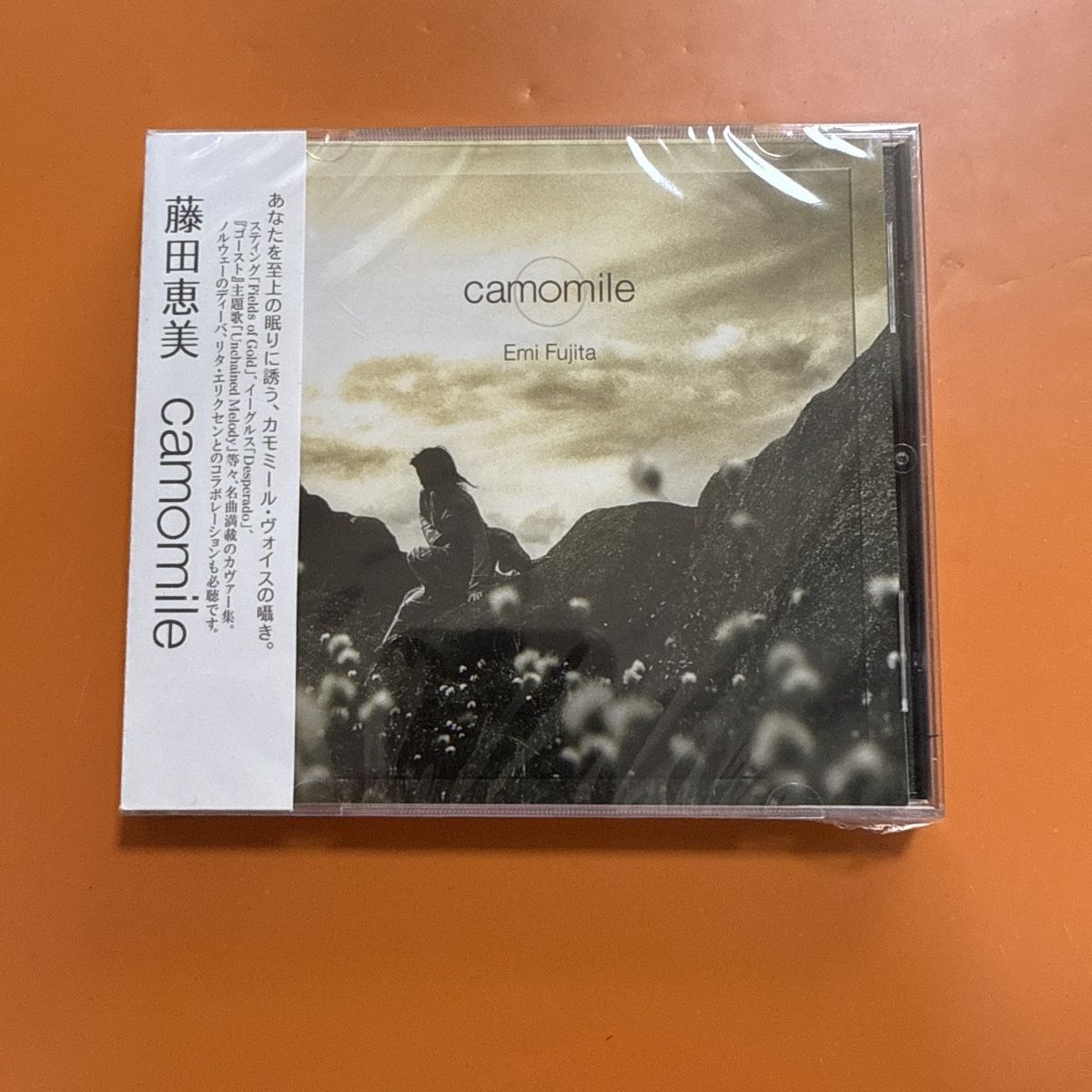 힐링 스타일의 일본 포크 팝 CD, 부드럽고 따뜻한 보 - Musical Instrument In Japanese 리뷰 및 가격